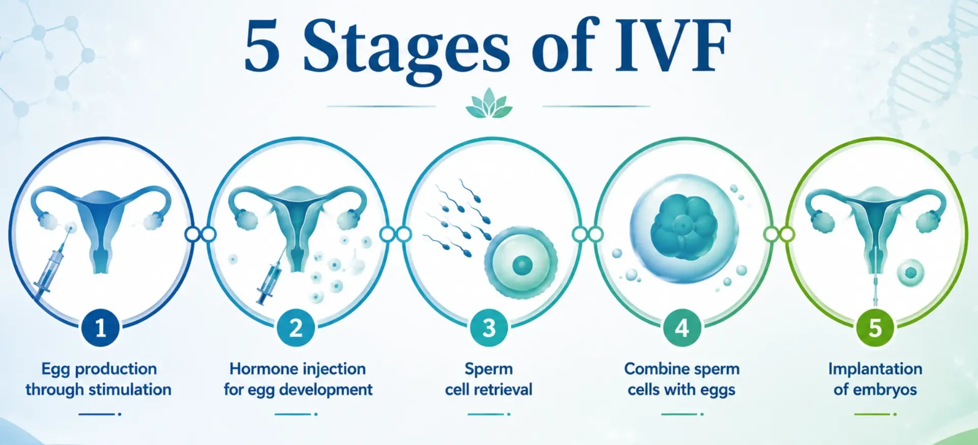 IVF Treatment in Gurgaon | IVF Specialist Dr. Meenu Handa