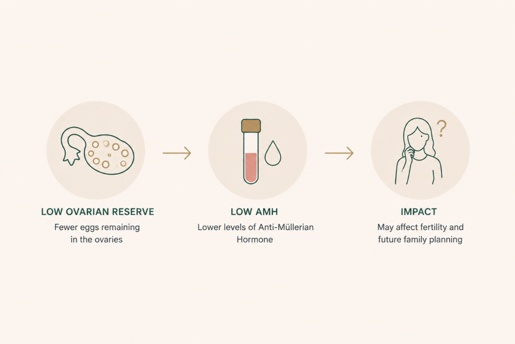 Common Ovarian Reserve Disorders