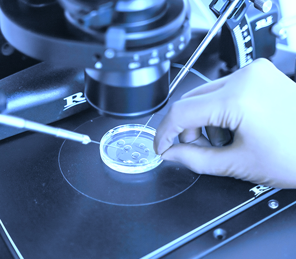 What is IMSI Treatment?