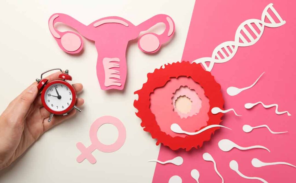 Personalised Fertility Solutions for Women Struggling to Conceive