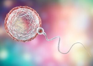 Recurrent IVF Failure