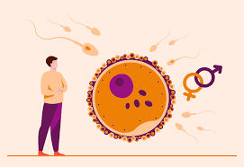 What is Male Infertility